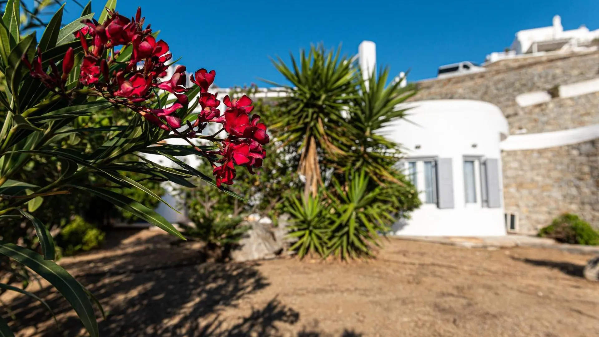 9 Muses Villas Mykonos Ornos  Griechenland