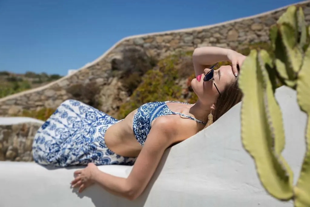 9 Muses Villas Mykonos Ornos