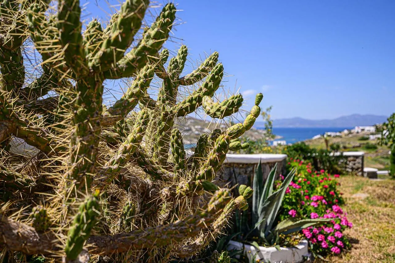 9 Muses Villas Mykonos Ornos  0*, Ornos (Mykonos)